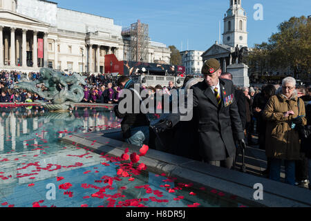 Londres, Royaume-Uni. 11 novembre 2016. Le Royal British Legion héberge la commémoration du Jour de l'Armistice avec «silence dans le Square' event in London's Trafalgar Square. Chaque année le 11 novembre à 11h00 les deux minutes de silence est observé à rendre hommage aux hommes et femmes britanniques qui sont tombés dans les guerres mondiales et ont été blessés ou sont morts dans des conflits depuis 1945. Le jour de l'Armistice marque la fin de la Première Guerre mondiale et se réfère à un cessez-le-feu entre l'Allemagne et les alliés qui est entré en vigueur à 11h00 le 11 novembre 1918. Wiktor Szymanowicz/Alamy Live News Banque D'Images