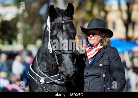 Prescott, USA. 10 Nov, 2016. Prescott, Arizona, Etats-Unis - Novembre 11, 2016:Black Horse and woman wearing red bandana blanc et bleu dans le défilé des Anciens Combattants Crédit : Pamela Au/Alamy Live News Banque D'Images