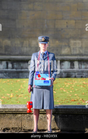 Cambridge, UK. 11 novembre, 2016. Un militaire solitaire se tient juste en face de King's College, Cambridge, à la onzième heure du onzième jour du onzième mois, le jour du Souvenir 2016. Credit : miscellany/Alamy Live News Banque D'Images