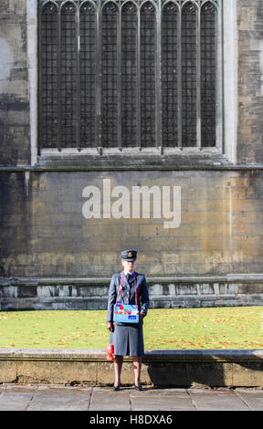 Cambridge, UK. 11 novembre, 2016. Un militaire solitaire se tient juste en face de King's College, Cambridge, à la onzième heure du onzième jour du onzième mois, le jour du Souvenir 2016. Credit : miscellany/Alamy Live News Banque D'Images