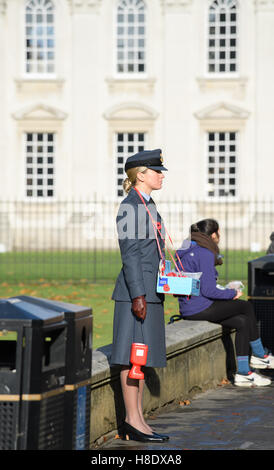 Cambridge, UK. 11 novembre, 2016. Un militaire solitaire se tient juste en face de King's College, Cambridge, à côté de la Chambre du Sénat à la onzième heure du onzième jour du onzième mois, le jour du Souvenir 2016. Credit : miscellany/Alamy Live News Banque D'Images