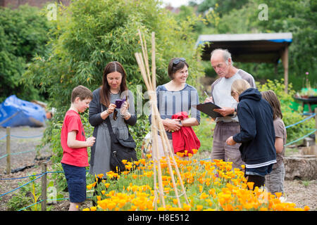 Le Golden Hill Community Garden à Bristol UK Banque D'Images