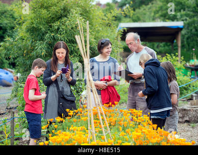 Le Golden Hill Community Garden à Bristol UK Banque D'Images