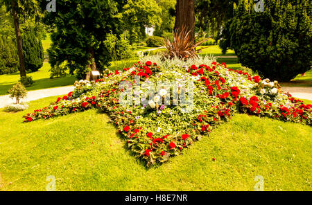 Affichage Floral dans les jardins du château, Drachenberg Konigswinter, Rhénanie du Nord-Westphalie, Allemagne Banque D'Images