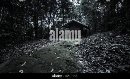 Cabane dans la forêt déserte Banque D'Images