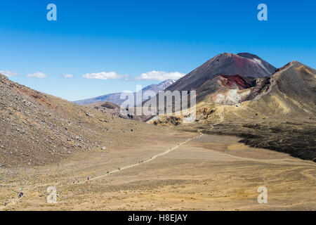 Les randonneurs et le Mont Ngauruhoe Tongariro Crossing sur la piste, Parc National de Tongariro, l'UNESCO, l'Île du Nord, Nouvelle-Zélande Banque D'Images