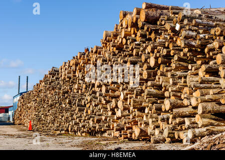 Grande pile de bois avec cheminée en arrière-plan. Ce bois est pour biocarburant solide dans une petite usine de chauffage. Banque D'Images