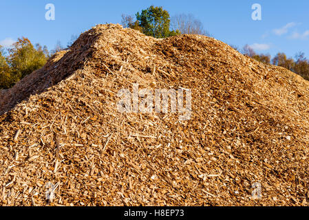 Gros tas de biomasse combustible solide sous forme de copeaux de bois de taille moyenne. Banque D'Images