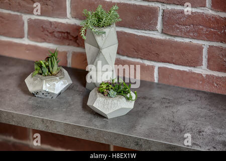 Les plantes dans les pots Banque D'Images