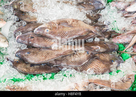 Marché aux poissons Banque D'Images