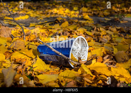 Une tasse en plastique qui a été laissé sur les feuilles tombées récemment Banque D'Images