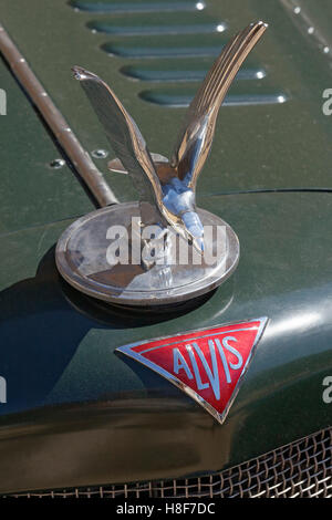 Silver Eagle hood ornament, ALVIS mascotte et logo, British classic car, Schloss Dyck Classic Days 2016 Jüchen, Niederrhein Banque D'Images