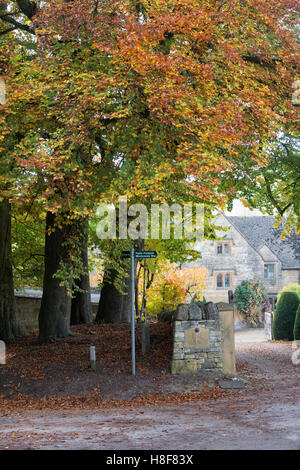 Les hêtres automne par l'entrée d'un Temple Guiting Manor dans l', Cotswolds, Gloucestershire, Angleterre Banque D'Images