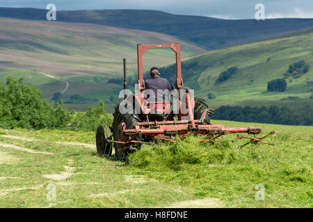 Agriculteur de Wensleydale tournant de l'herbe pour faire du foin avec un vintage tracteur Massey Ferguson. Hawes, North Yorkshire, UK. Banque D'Images