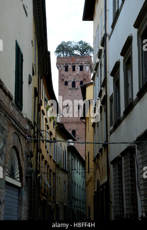 Lucca, Italie - 5 septembre 2016 : immeubles de la rue étroite et tour Guinigi en vieille ville de Lucques en Italie. Des inconnus Banque D'Images