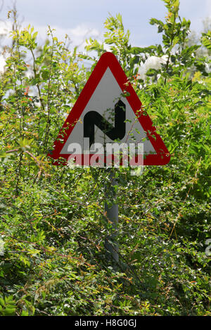 Piedmont Hawthorne vert rouge envahi par la route, de l'information signe, avertissement, bend, triangle, de danger, de la circulation, rue, à venir, la prudence. Banque D'Images