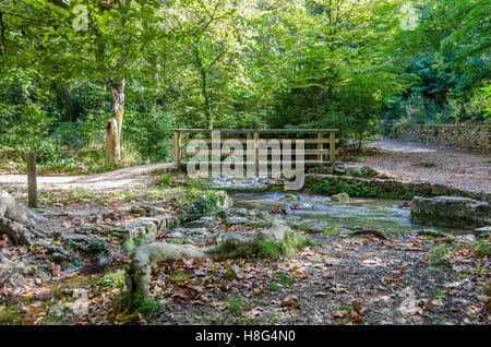 FORET DE ST PONS, PONT DE BOIS, GEMENOS BDR 13 FRANCE Banque D'Images