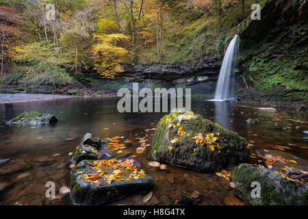 Les feuilles d'automne à Sgwd Gwladus Banque D'Images