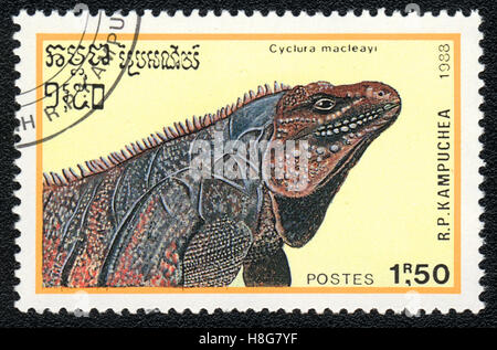 Un timbre-poste imprimé en bleu rare montre Kampuchea - Cyclura macleayi iguane géant, vers 1988 Banque D'Images