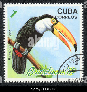 Un timbre-poste imprimé en Cuba montre un oiseau Toucan Toco (Ramphastos toco), 1989 Banque D'Images