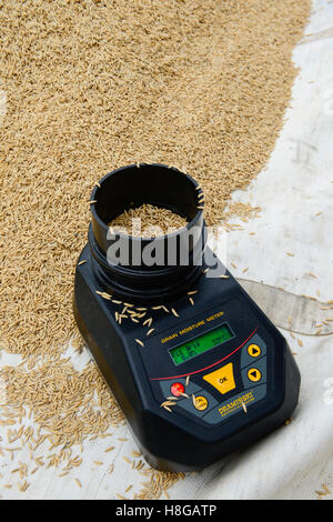 Le BURKINA FASO, Gaoua, la production de semences hybrides de riz pour Nafaso compagnie de semences, des femmes et de l'emballage à sec, peser le riz, indicateur d'humidité pour mesurer la teneur en humidité Banque D'Images