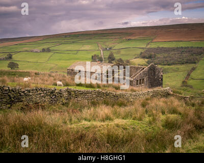 Maison de ferme à l'abandon sur Lancashire Moor Banque D'Images