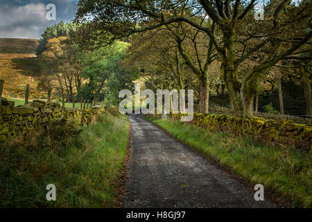 Sur et hors de l'Pennine Way Banque D'Images