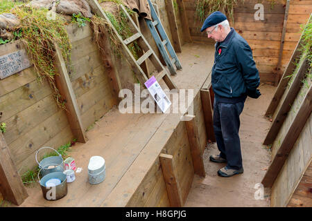 Glasgow, Ecosse, Royaume-Uni. 12 novembre, 2016. 'DIGGING IN' , avec l'aide de lettres, journaux, photographies et des manuels officiels, des tranchées WW1 reconstruit dans le parc Pollok, pour créer un centre pour l'apprentissage actif sur les droits de l'expérience des conflits et aider à explorer comment les soldats composaient dans de dangereuses et stressantes. Ici Sandy Robertson de Glasgow, dont l'oncle a été tué en action dans la PREMIÈRE GUERRE MONDIALE, examine une réplique d'une tranchée britannique. Credit : Findlay/Alamy Live News Banque D'Images