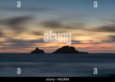 Cape Cornwall, Cornwall, UK. 12 novembre 2016. Météo britannique. Coucher de soleil sur les bisons, près de Lands End. Certains ont comparé les roches pour un 'homme' corpulent avec un grand nez couché dans une baignoire. Crédit : Simon Maycock/Alamy Live News Banque D'Images