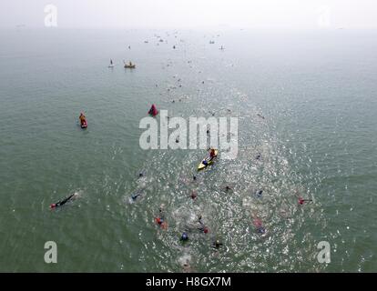 Xiamen, Chine, province du Fujian. 13Th Nov, 2016. Les participants au cours de la natation Ironman 70.3 2016 Concours de Xiamen à Xiamen, dans le sud-est de la province de Fujian en Chine, le 13 novembre 2016. © Jiang Kehong/Xinhua/Alamy Live News Banque D'Images