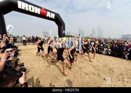 Xiamen, Chine, province du Fujian. 13Th Nov, 2016. Les participants courent à nager au cours de l'Ironman 70.3 2016 Concours de Xiamen à Xiamen, dans le sud-est de la province de Fujian en Chine, le 13 novembre 2016. © Jiang Kehong/Xinhua/Alamy Live News Banque D'Images