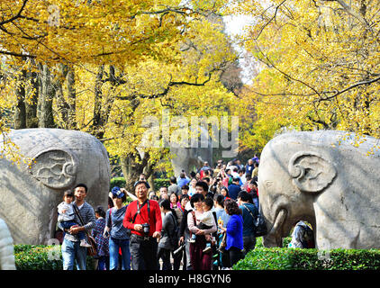 Nanjing, Jiangsu Province de la Chine. 13Th Nov, 2016. Personnes visitent le Xiaoling, le mausolée de l'empereur Zhu Yuanzhang de la dynastie Ming (1368-1644), à Nanjing, capitale de la province de Jiangsu, Chine orientale, le 13 novembre 2016. © Yang Suping/Xinhua/Alamy Live News Banque D'Images