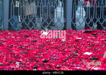 London UK.13 Novembre 2016. Les grandes foules voir le mémorial des couronnes placées autour du cénotaphe au cours de Dimanche du souvenir par les membres de la famille royale, les politiciens et les services Credit : amer ghazzal/Alamy Live News Banque D'Images