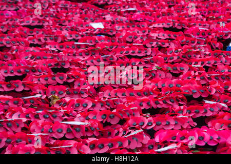 London UK.13 Novembre 2016. Les grandes foules voir le mémorial des couronnes placées autour du cénotaphe au cours de Dimanche du souvenir par les membres de la famille royale, les politiciens et les services Credit : amer ghazzal/Alamy Live News Banque D'Images