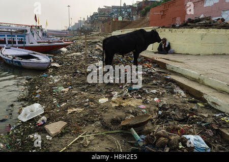 Varanasi, Inde, Uttarpradesh. 13Th Nov, 2016. Varanasi, Uttar Pradesh, Inde : Les débris a obtenu l'objet de dumping sur le ghat de Ganges, Varnasi, Inde. © Debsuddha Banerjee/ZUMA/Alamy Fil Live News Banque D'Images