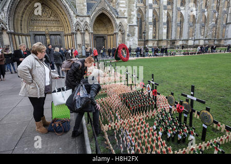 Londres, Royaume-Uni. 13 novembre, 2016. Des croisements et des Coquelicots dans le champ de l'abbaye de Westminster jardin souvenir sur le souvenir dimanche Crédit : Guy Josse/Alamy Live News Banque D'Images