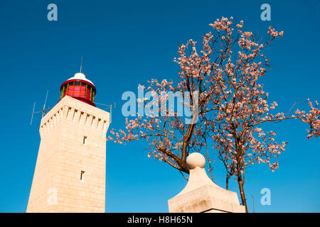 Frankreich, Cote d Azur, Cap d''Antibes, Leuchtturm Banque D'Images