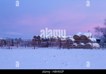 Les balles de foin empilées sur une ferme couverte de neige au lever du soleil Banque D'Images