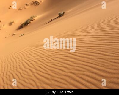 Désert vide illimité panorama de l'Afrique du Nord, l'Algérie Béchar Taghit sable désert Banque D'Images