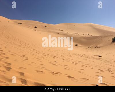 Désert vide illimité panorama de l'Afrique du Nord, l'Algérie Béchar Taghit sable désert Banque D'Images