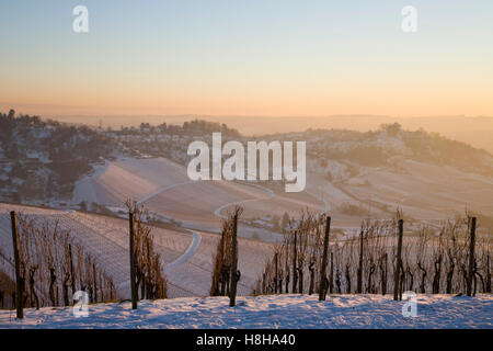 Vignes en hiver, vignes, vignoble, vue en direction de Mt. Rotenberg, neige, Stuttgart, Bade-Wurtemberg Banque D'Images