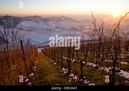 Vignes en hiver, vignes, vignoble, vue en direction de Mt. Rotenberg, neige, Stuttgart, Bade-Wurtemberg Banque D'Images