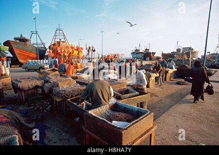 Les pêcheurs dans le port d'Essaouira, Maroc, Afrique du Nord Banque D'Images