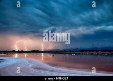 Approches violent orage Mildura, Victoria, Australie. Banque D'Images