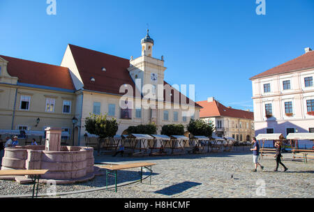 La Sainte Trinité (carrés Trg Svetog Trojstva) est la place centrale dans Tvrdja, la forteresse ou centre historique de la vieille ville de Banque D'Images