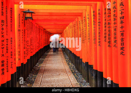 Kyoto, Japon. Les portes dans le sanctuaire Fushimi Inari. Banque D'Images