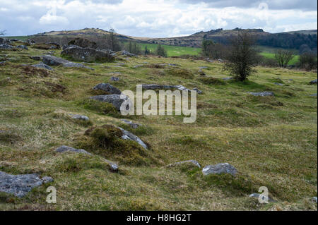 Paysage près de Hound Tor un affleurement rocheux de granit dans la région de Dartmoor National Park. Devon, UK Banque D'Images