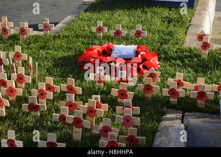 Pavot Rouge le jour de l'Armistice, le 11 novembre, à l'extérieur de l'abbaye de Bath. Banque D'Images