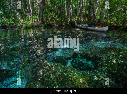 CHASSAHOWITZKA wildlife reserve, RESSORT DE LA RIVIÈRE Chassahowitzka Wildlife Reserve National Wildlife Refuge, en Floride, aux États-Unis. Banque D'Images