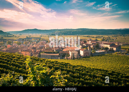 Avis de Soave (Italie) entouré de vignes qui produisent l'un des plus appréciés des vins blancs italiens. Banque D'Images